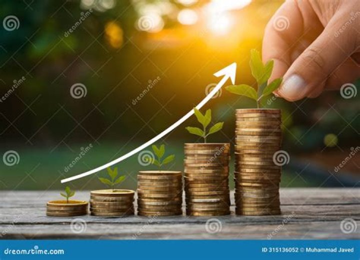 Discover Financial Insights And Growth Potential