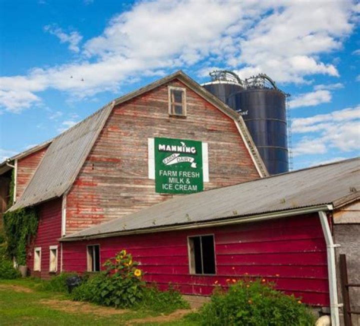 Discover The Secrets Of Mannings Dairy Farm: Unlocking Sustainable Success