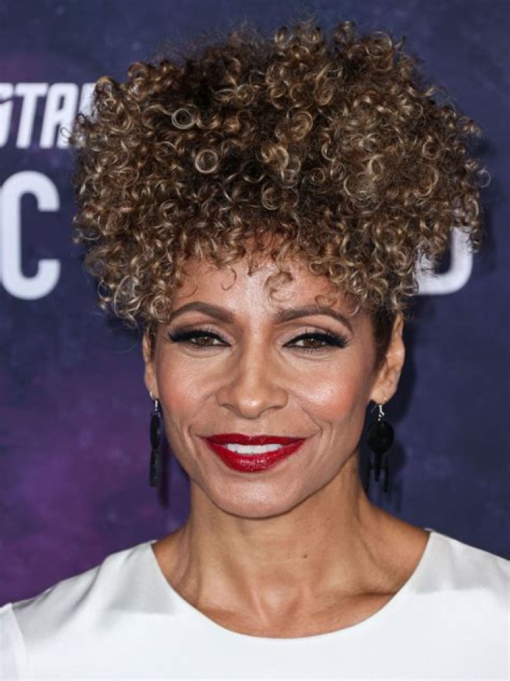 Michelle Hurd Height, Weight, Net Worth, Age, Birthday, Wikipedia, Who, Instagram, Biography