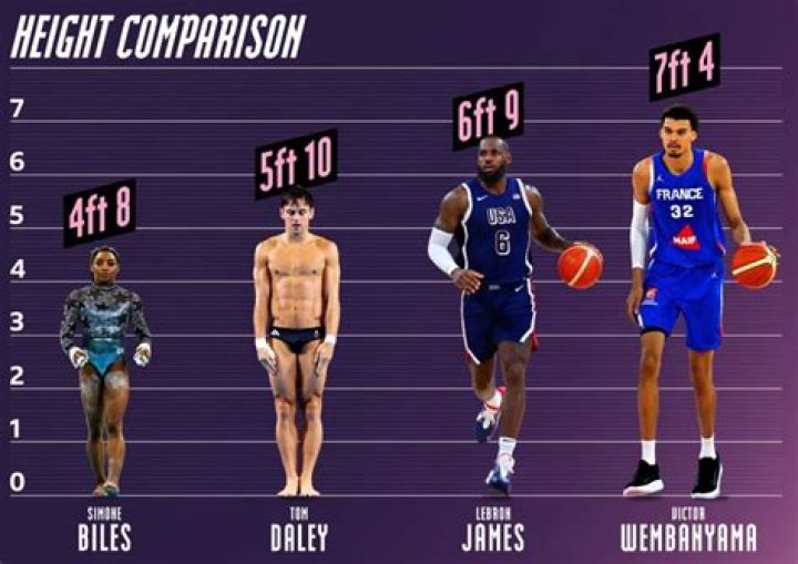Stevie J's Height And Its Impact
