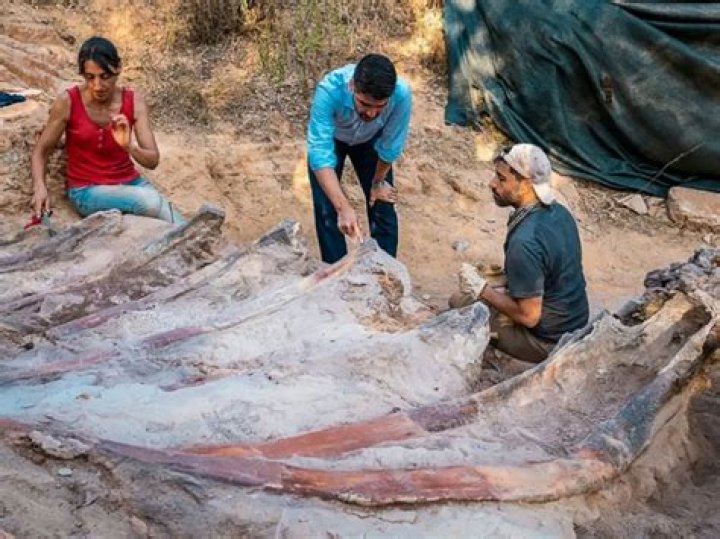 Unearth Hidden Treasures And Timeless Insights: Rediscovering Vintage Delights