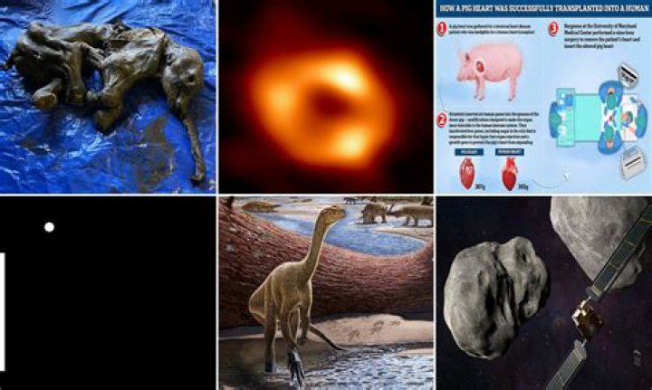 Unveiling Director Gifty: Discoveries And Insights